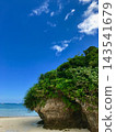 沖繩的海和岩石海岸覆蓋著茂密的樹木。 143541679