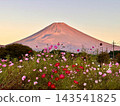 Fall cherry tree and Mt. Fuji 143541825