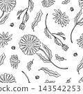Seamless pattern of herbs and flowers for natural cosmetics design. Vector pattern for packaging, advertising, and cosmetics design 143542253