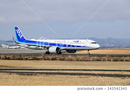仙台國際機場 143542343