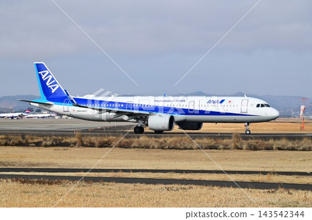 仙台國際機場 143542344