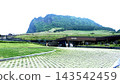 濟州島城山日出峰：韓國濟州島的壯麗景色 143542459