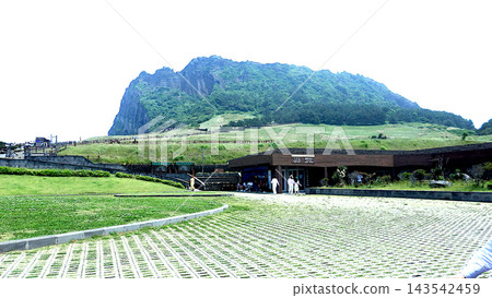 濟州島城山日出峰:韓國濟州島的壯麗景色 濟州島城山日出峰:韓國濟州島的壯麗景色 143542459