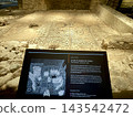 [Switzerland] Ancient mosaic floor remaining in the crypt of St. Pierre Cathedral in Geneva 143542472