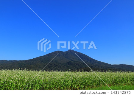 這是一個位於筑波山腳下,四周環繞著蕎麥田的肥沃村莊。 這是一個位於筑波山腳下,四周環繞著蕎麥田的肥沃村莊。 143542875