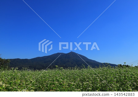 A fertile village, at the foot of Mount Tsukuba and surrounded by buckwheat fields. A fertile village, at the foot of Mount Tsukuba and surrounded by buckwheat fields. 143542883
