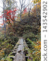 A wooden bridge in the mountains, Kaneyama Town, Fukushima Prefecture 143542902