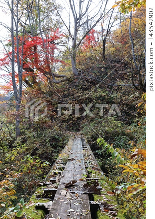 A wooden bridge in the mountains, Kaneyama Town, Fukushima Prefecture A wooden bridge in the mountains, Kaneyama Town, Fukushima Prefecture 143542902