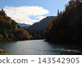 Autumn foliage on the mountains and the Tadami River, Mishima Town, Fukushima Prefecture 143542905