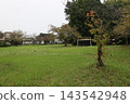 Tanedare Castle Ruins 143542948