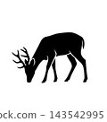 black silhouette of deer on white background 143542995