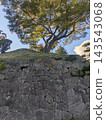 五稜郭公園的歷史石牆 143543068