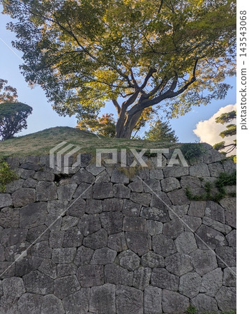 五稜郭公園的歷史石牆 五稜郭公園的歷史石牆 143543068