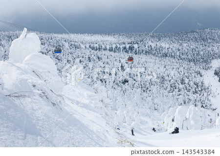 山形的銀色世界藏王的白雪覆蓋的樹木和滑雪場 山形的銀色世界藏王的白雪覆蓋的樹木和滑雪場 143543384