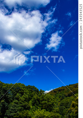 宇治川和弘勝寺。釋迦牟尼佛主像的祝福:願望成真、辟邪、好運連連、繁榮昌盛。 宇治川和弘勝寺。釋迦牟尼佛主像的祝福:願望成真、辟邪、好運連連、繁榮昌盛。 143543525