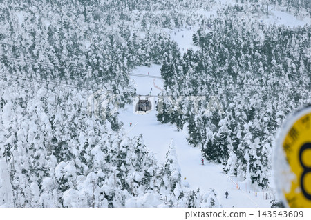 山形藏王雪景中，白雪覆蓋的樹木和索道盡收眼底。 143543609