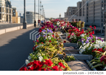 Colorful Flower Boxes Along City Bridge Walkway With People Walking and Urban Buildings in Background Colorful Flower Boxes Along City Bridge Walkway With People Walking and Urban Buildings in Background 143544234