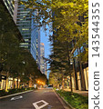 精緻現代的城市街道和摩天大樓景觀 143544355