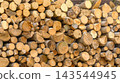 Stacked timber 143544945