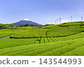 Tenma Tea Plantation, Fuji City, Shizuoka Prefecture 143544993