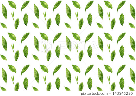Seamless pattern background of hand-painted watercolor tea leaves 143545250