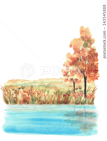 Autumn landscape with deciduous fall trees in golden orange field reflected in water of lakes or rivers. Hand painted watercolor fall nature illustration isolated from background for card, poster. Autumn landscape with deciduous fall trees in golden orange field reflected in water of lakes or rivers. Hand painted watercolor fall nature illustration isolated from background for card, poster. 143545888