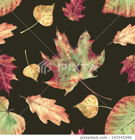 Autumn leaves seamless pattern from deciduous trees. Watercolor Realistic hand drawn illustration, coloured in nature fall forest foliage for textile, fabric, wallpaper on Isolated dark background Autumn leaves seamless pattern from deciduous trees. Watercolor Realistic hand drawn illustration, coloured in nature fall forest foliage for textile, fabric, wallpaper on Isolated dark background 143545896