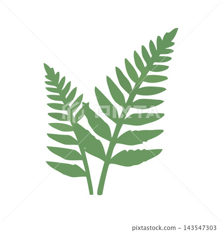 Stylized graphic of two green fern leaves with a simple silhouette design on a clean white background. 143547303