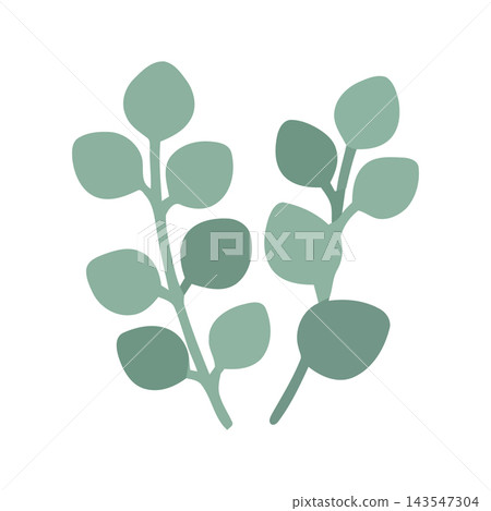 A simple, minimalist illustration of two eucalyptus branches with green leaves, isolated on a white background. 143547304