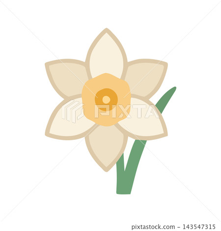 Stylized illustration of a single daffodil flower with yellow trumpet and white petals on a green stem. Isolated on white. Stylized illustration of a single daffodil flower with yellow trumpet and white petals on a green stem. Isolated on white. 143547315