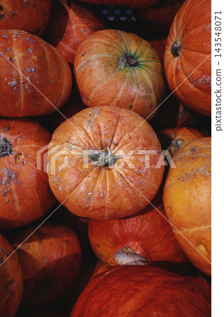 Close-up full frame background of many fresh ripe orange red pumpkins with natural texture and imperfections, autumn harvest and fall season market concept Close-up full frame background of many fresh ripe orange red pumpkins with natural texture and imperfections, autumn harvest and fall season market concept 143548071