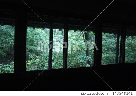 從森林中央的一扇窗戶望出去的景色 從森林中央的一扇窗戶望出去的景色 143548141