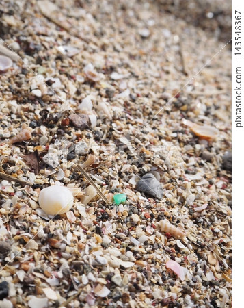 Seashells and plastic washed ashore on the beach 143548367