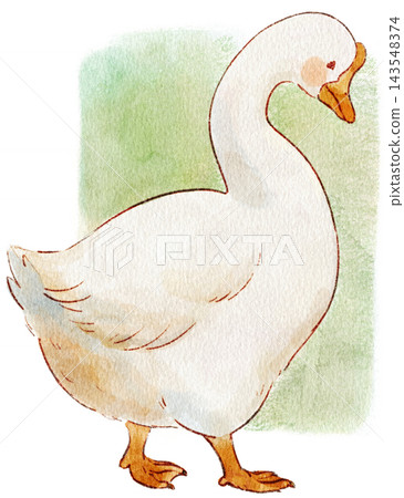 Cute watercolor illustration of a goose, side view with background. Cute watercolor illustration of a goose, side view with background. 143548374