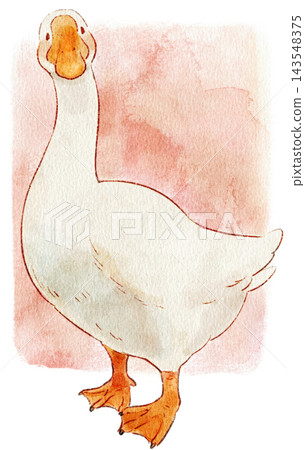 Cute watercolor illustration of a goose with background. Cute watercolor illustration of a goose with background. 143548375