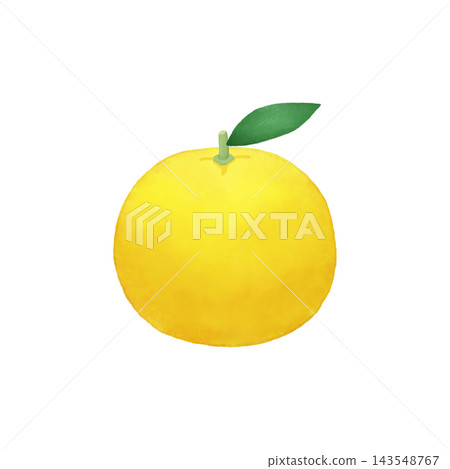 柚子的水彩風格插畫 柚子的水彩風格插畫 143548767
