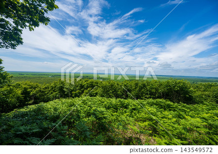 Kushiro Marsh Kushiro Marsh 143549572