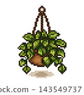 Potted plant with a rope hanger in an interior setting 143549737