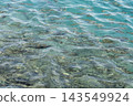 Lake Tazawa, Akita Prefecture: The surface of the lake and the schools of fish. 143549924