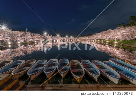 日本，青森，弘前，春天，櫻花，夜櫻，城堡，弘前城，弘前公園，燈光秀，夜景，盛開，夜晚，花朵，櫻花，一些 143550078