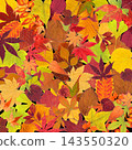 A texture in autumn colors created by layering various pressed leaves. 143550320