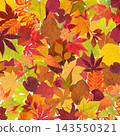 A texture in autumn colors created by layering various pressed leaves. 143550321
