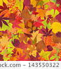 A texture in autumn colors created by layering various pressed leaves. 143550322