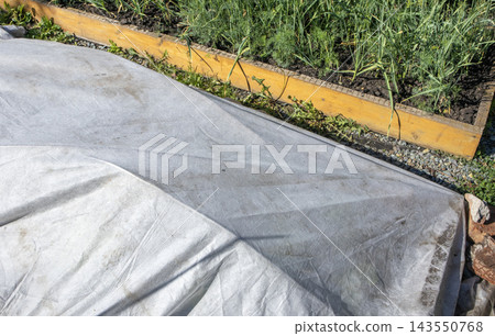 Gray protective fabric covering a garden bed beside yellow edging and green plants outdoors 143550768