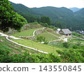 大阪北梯田_2 143550845