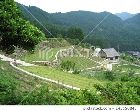 大阪北梯田_2 143550845