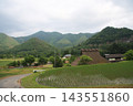 京都、美山 143551860