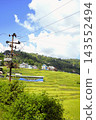 The terraced rice fields of Changunarayan 143552494