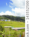 Nepal, Changu Narayan: Rural landscape and summer sky seen from a car window. 143552500