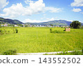 Green rice paddies and rural landscapes stretching across Changunarayan, Nepal. 143552502